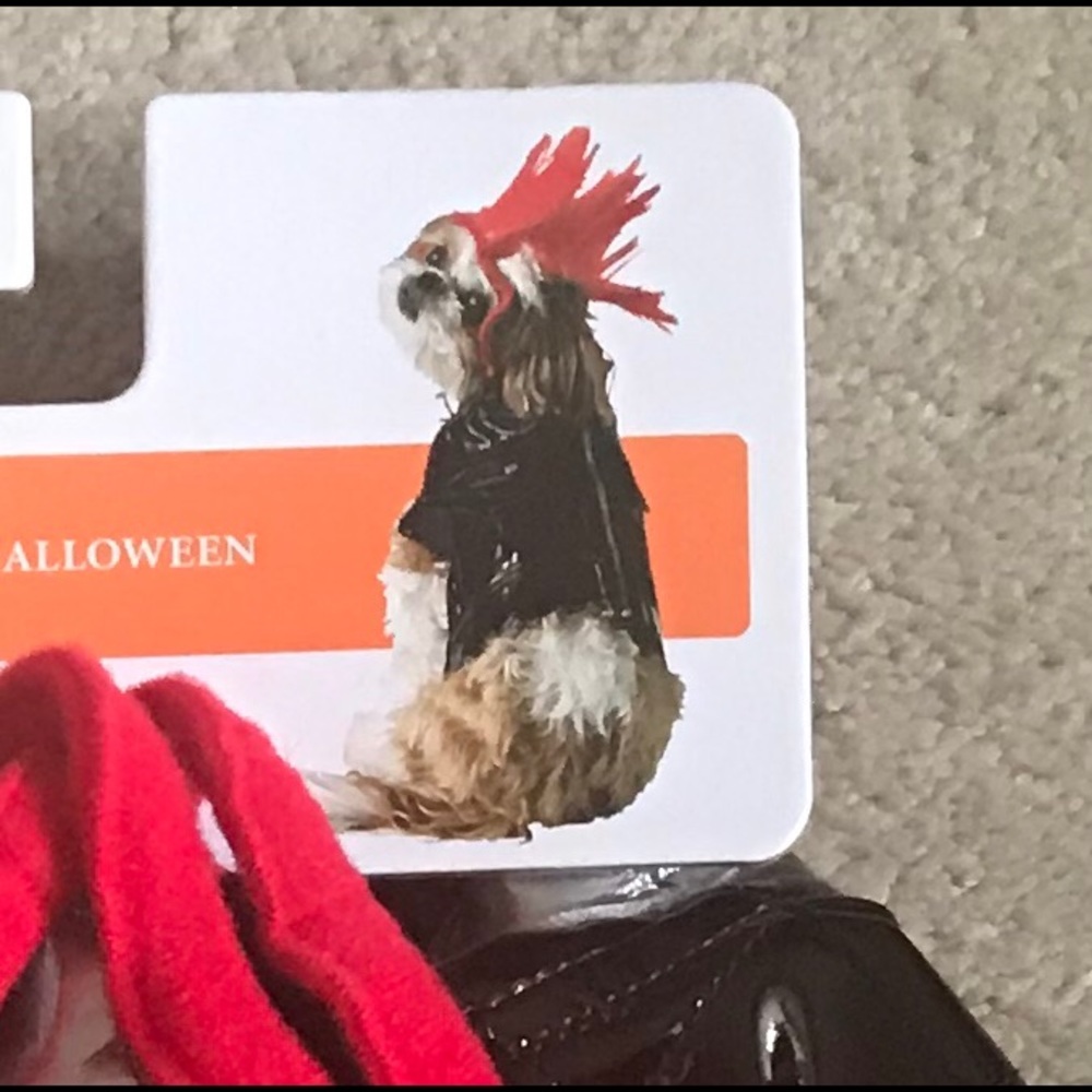 Celebrate It Pet Halloween Costume